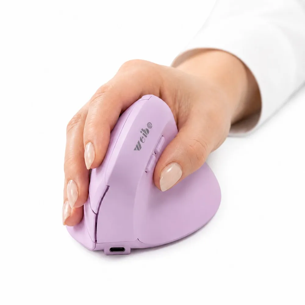 Mouse inalámbrico ergonómico WB-888